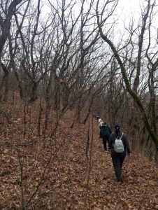 0770efa0-38a0-4381-836c-4fb2d5dfceec