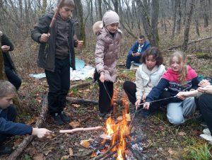 44058ad4-bed4-4984-87b3-0100cc154719