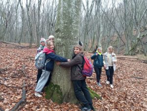 4471736b-0fad-4f31-b30e-8a0081fc6039