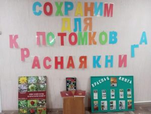 51E4CCDF-7EFF-42A6-9DBE-94E7D0827F27