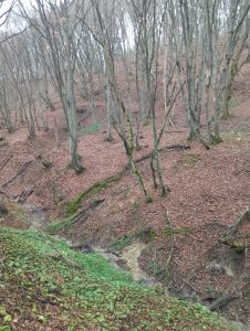 5b2143a5-13e6-4cf5-99f6-374ee61bc072