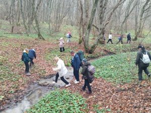 8a09cba6-3991-4d8c-a31f-34a9fee88bdc