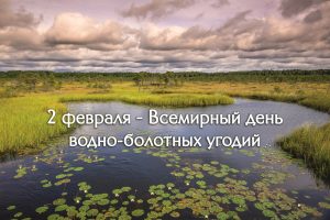Всемирный день водно-болотных угодий